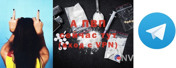 apvp Бородино