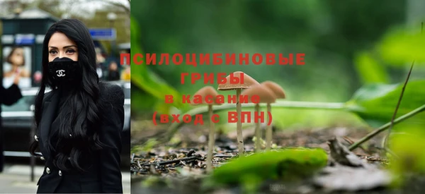 apvp Бородино