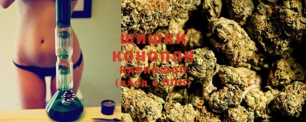 apvp Бородино